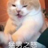 喵嗷嗷