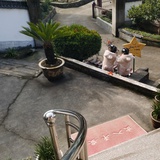 路过花开