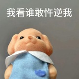 来自地球009
