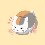 崩坏的世界