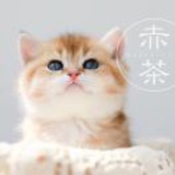 七月灯塔