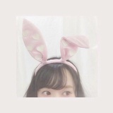 小猫弧