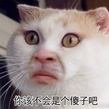 皮皮