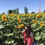 Hi~summer😊