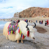 张三