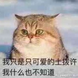 发条程