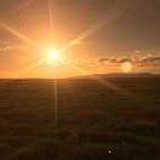 རྟ་མགྲིན