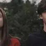 冰红茶不是绿的