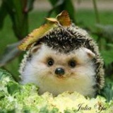 LLLfriends