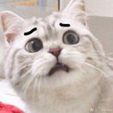 豆友179194597