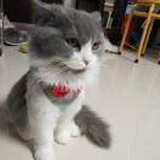 静