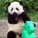 小熊
