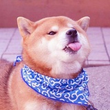 安。
