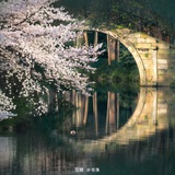 齐齐