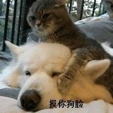 星河