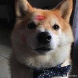人有刹时之蛋挞