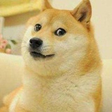 章鱼小丸子