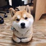 曾