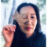 典藏玫瑰