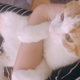 manoon