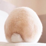 肉丸子