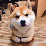 冰冰凉