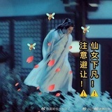 zhuzhu