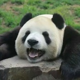 一了百了