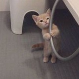 小怪兽