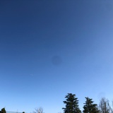 又又又又