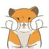 养猪大户