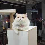 佩奇家手工坊