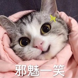 浅一痕