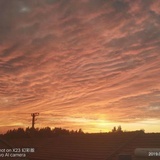 一个读书的家伙