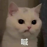 咘咘咕咕