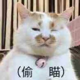 舌尖上的土豆