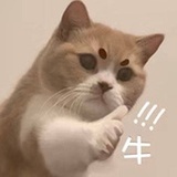 咪哆