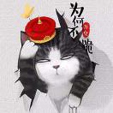 西红柿
