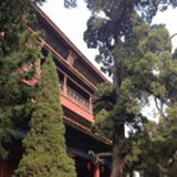 终考补习生
