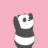 小胖纸是皮皮虾