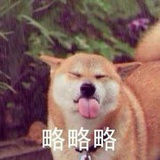 在这尘埃之中
