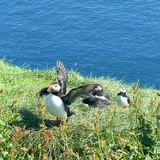 户部尚书楼之敬