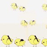 kco3