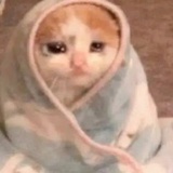 江湖月报撰稿人