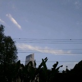 谭索