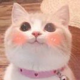 ╯3︶嬿嬿酱