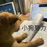 爱瑜伽的维vian