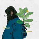 卒七岁