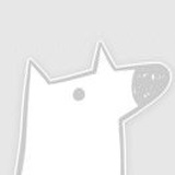没事请静音