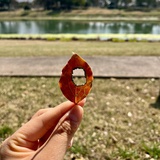 寝ても覚めても